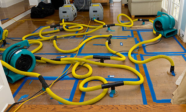 Professional Sewage Cleanup technician working in Midway, KY